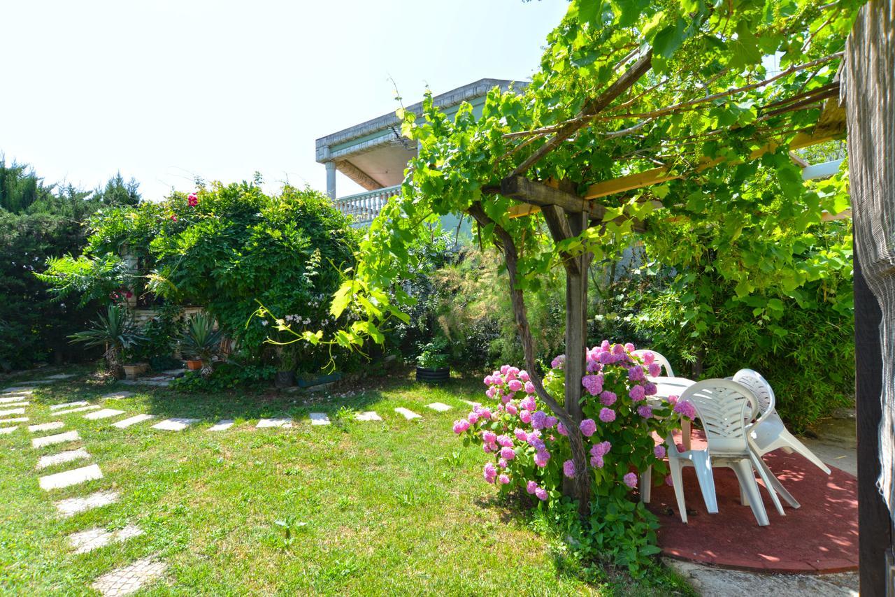 Apartments Predrag 498 梅杜林 外观 照片