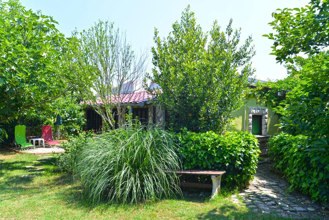 Apartments Predrag 498 梅杜林 外观 照片