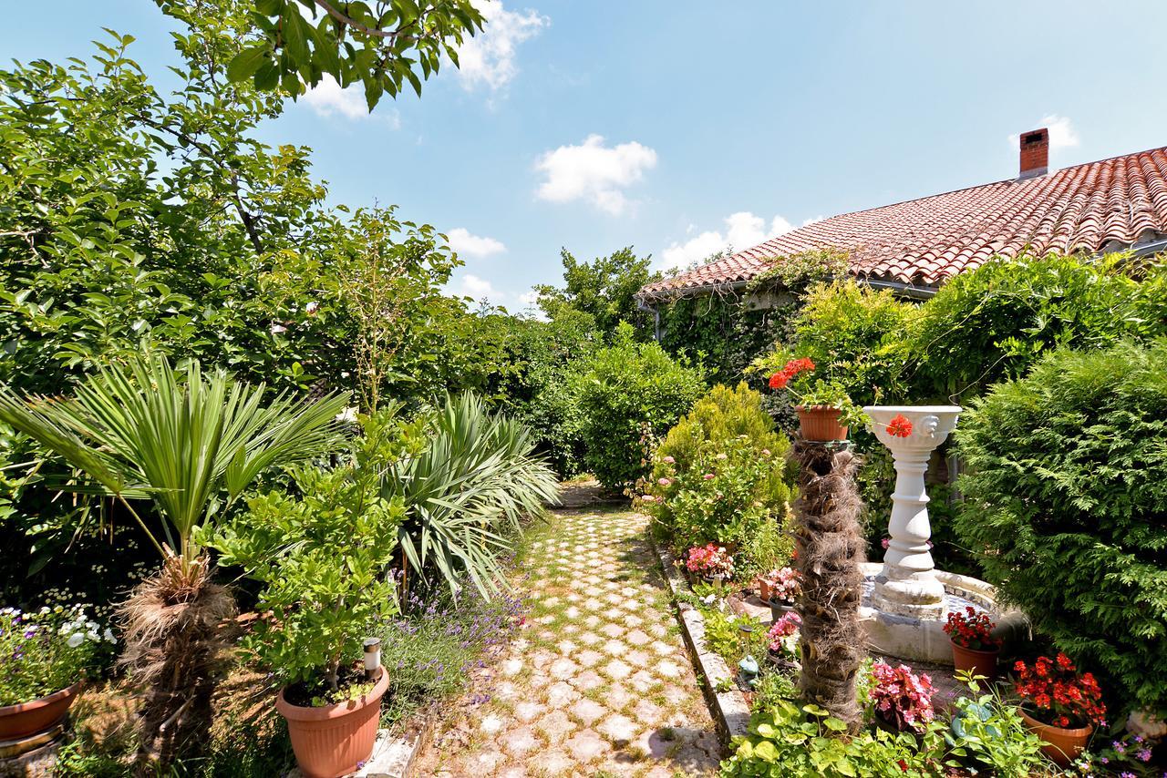 Apartments Predrag 498 梅杜林 外观 照片